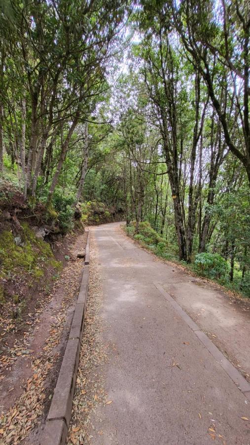 Casa Tio Manuel Affittacamere La Tierra del Trigo Esterno foto